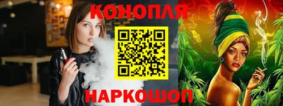 spice Камышлов