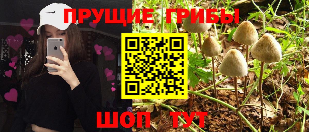 Усолье-Сибирское  Галлюциногенные грибы Magic Shrooms  Вход с VPN  Галлюциногенные грибы Cubensis 